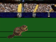 Beaver Long Jump